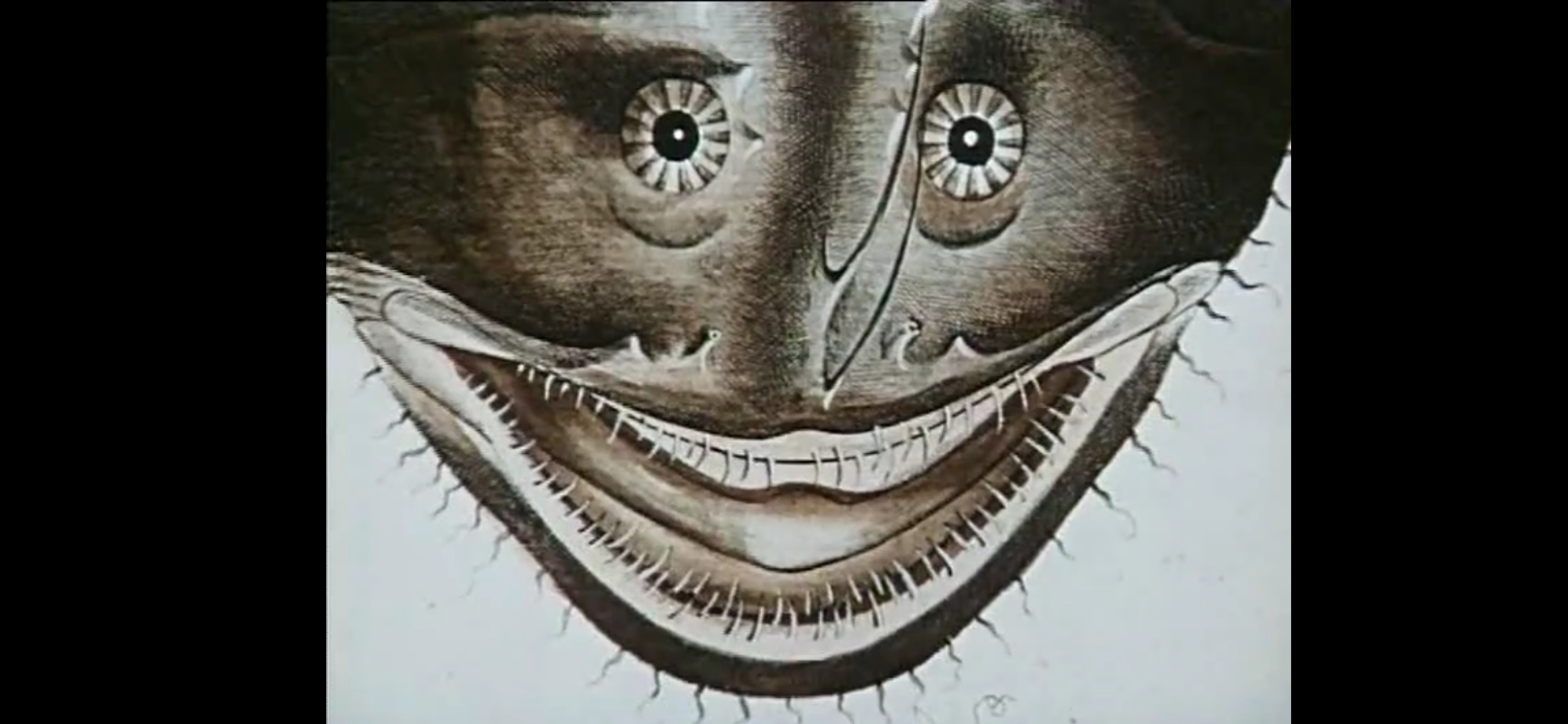 自然史(1967)的剧照 自然史(1967)的剧照