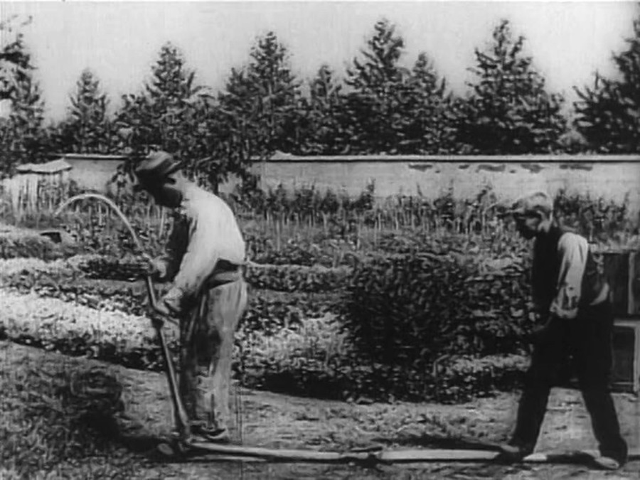 水浇园丁(1895)的剧照 水浇园丁(1895)的剧照