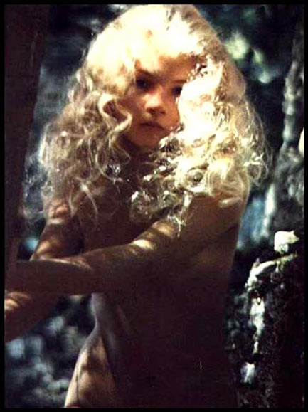 春之森林(1977)的剧照 春之森林(1977)的剧照