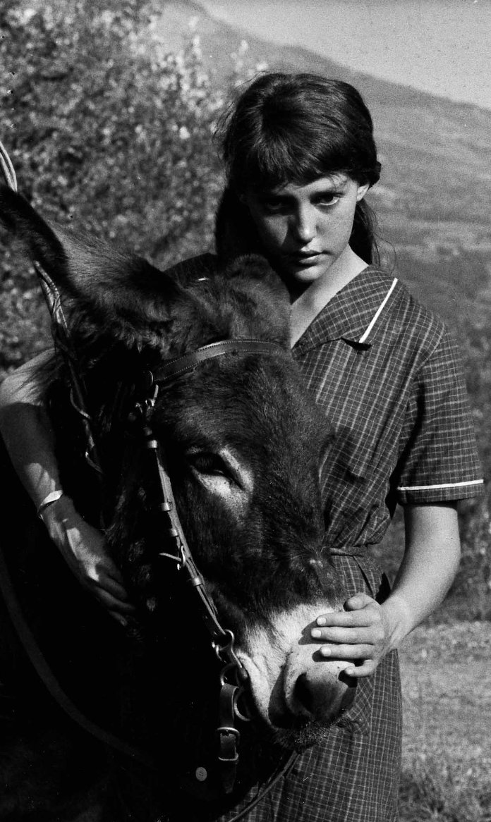 驴子巴特萨(1966)的剧照 驴子巴特萨(1966)的剧照