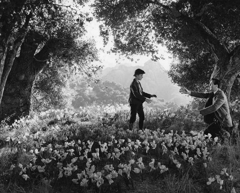 青山翠谷(1941)的剧照 青山翠谷(1941)的剧照