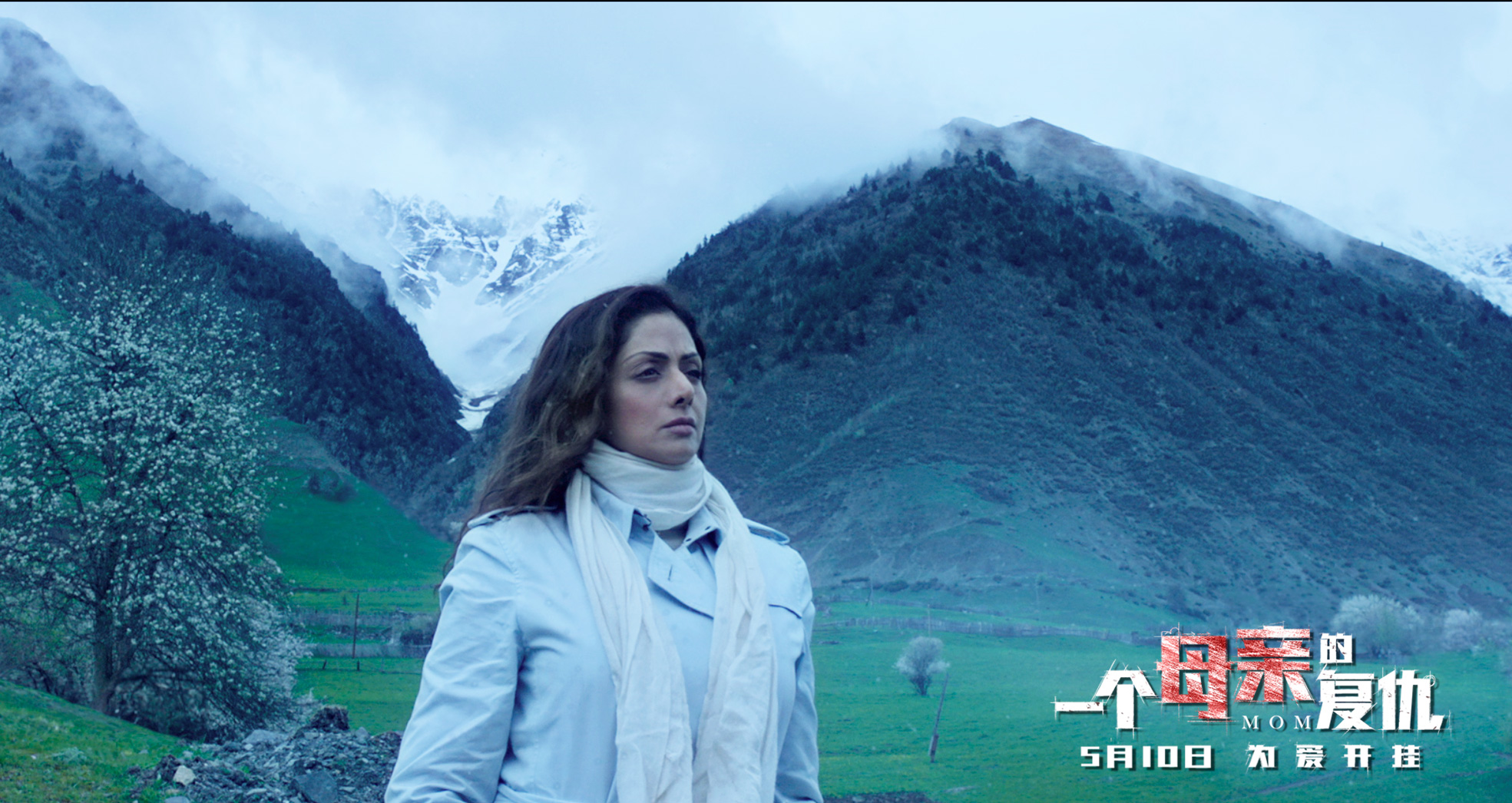 一个母亲的复仇(2017)的剧照 一个母亲的复仇(2017)的剧照