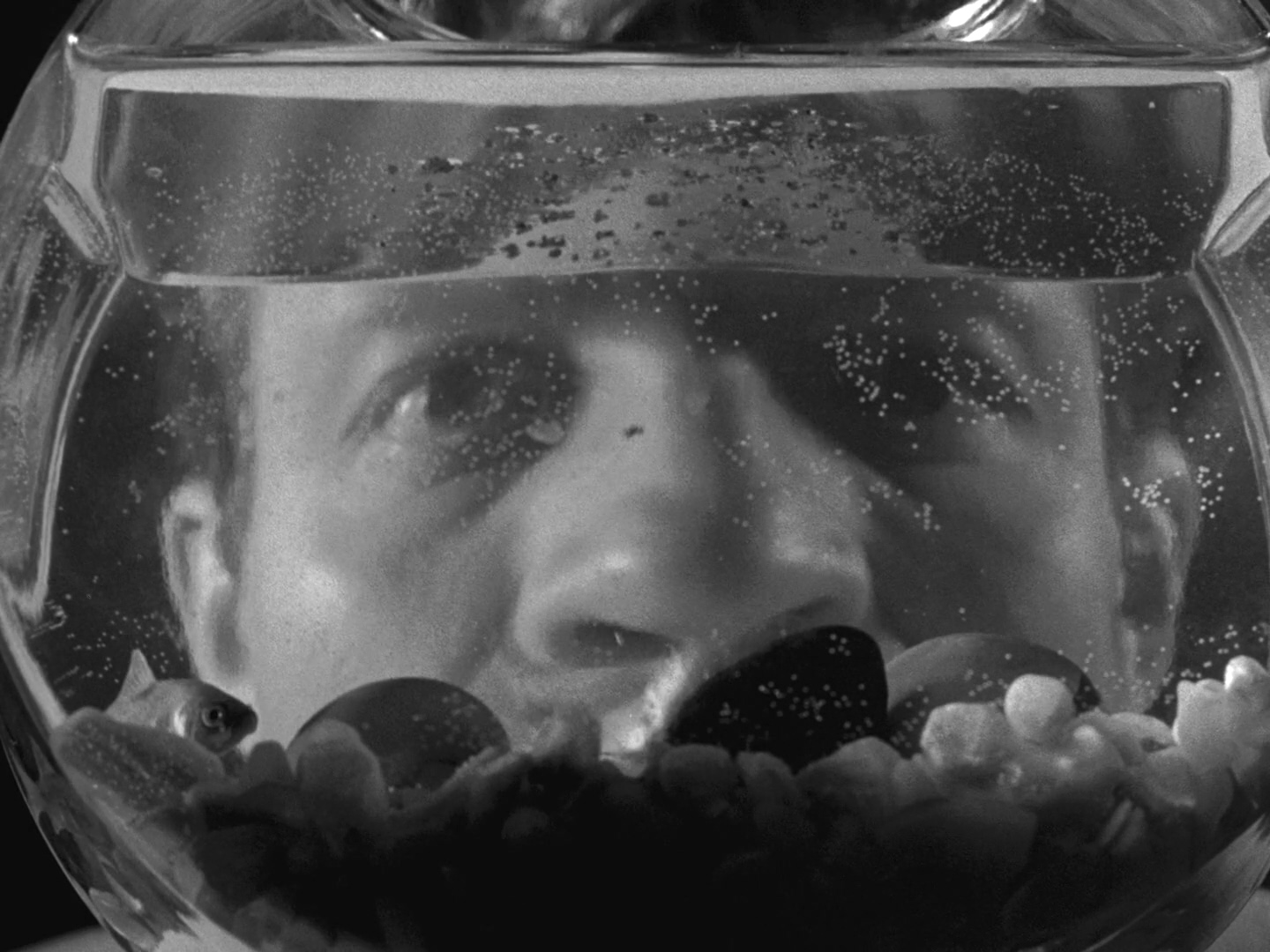 杀手之吻(1955)的剧照 杀手之吻(1955)的剧照