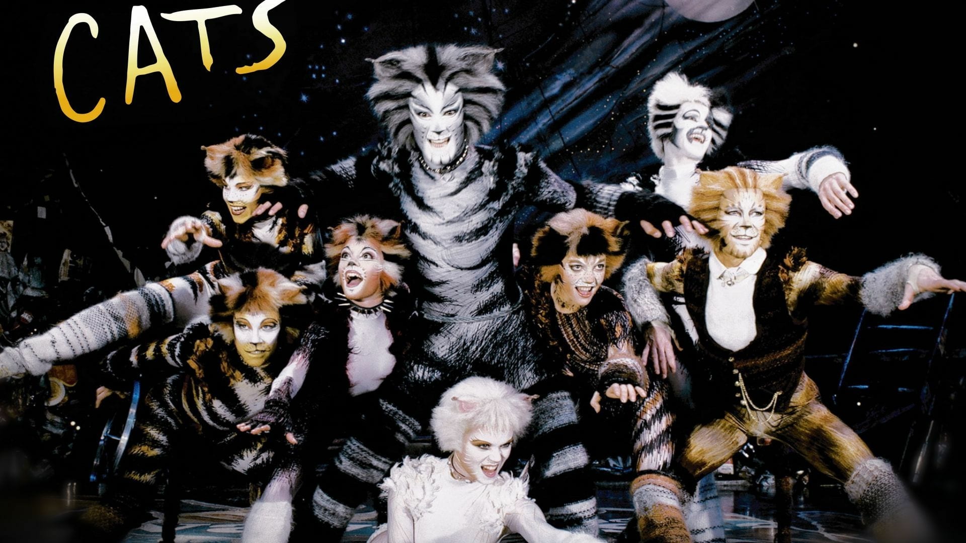 猫(1998)的剧照 猫(1998)的剧照