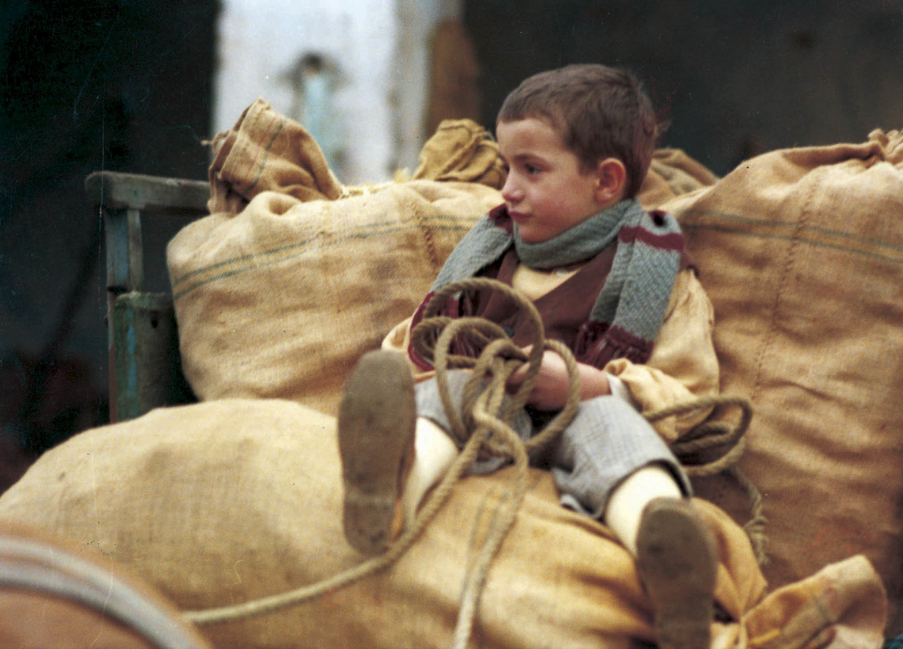 木屐树(1978)的剧照 木屐树(1978)的剧照