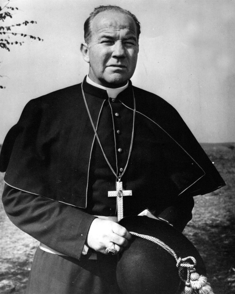 骗子(1955)的剧照 骗子(1955)的剧照