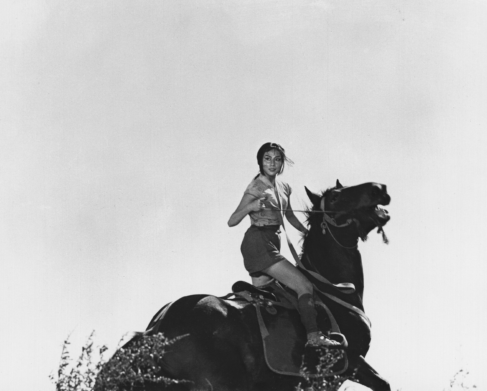 战国英豪(1958)的剧照 战国英豪(1958)的剧照