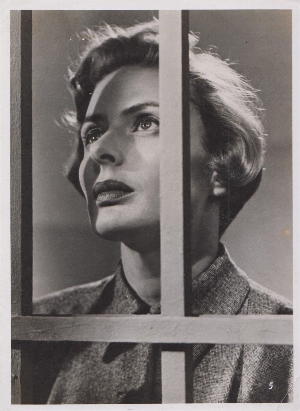 一九五一年的欧洲(1952)的剧照 一九五一年的欧洲(1952)的剧照