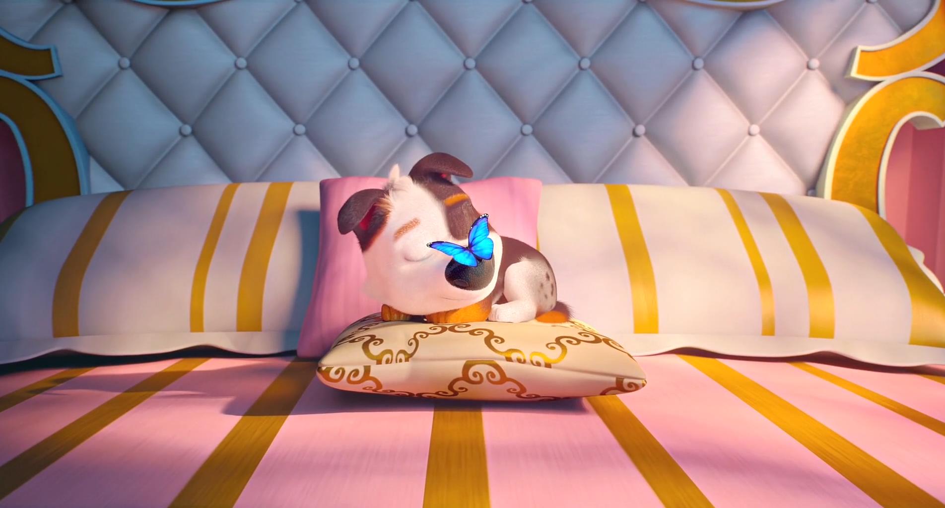 萌宠流浪记(2019)的剧照 萌宠流浪记(2019)的剧照