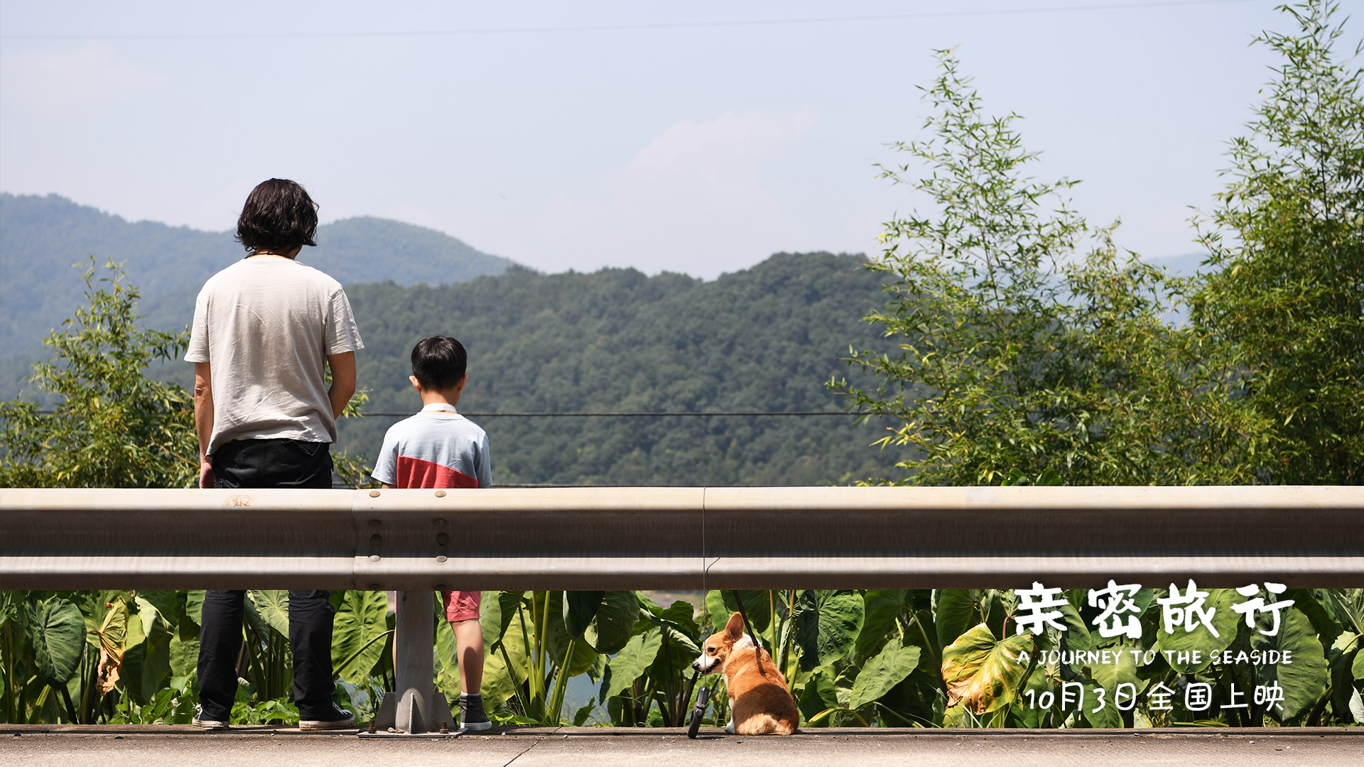 亲密旅行
(2019)的剧照 亲密旅行
(2019)的剧照