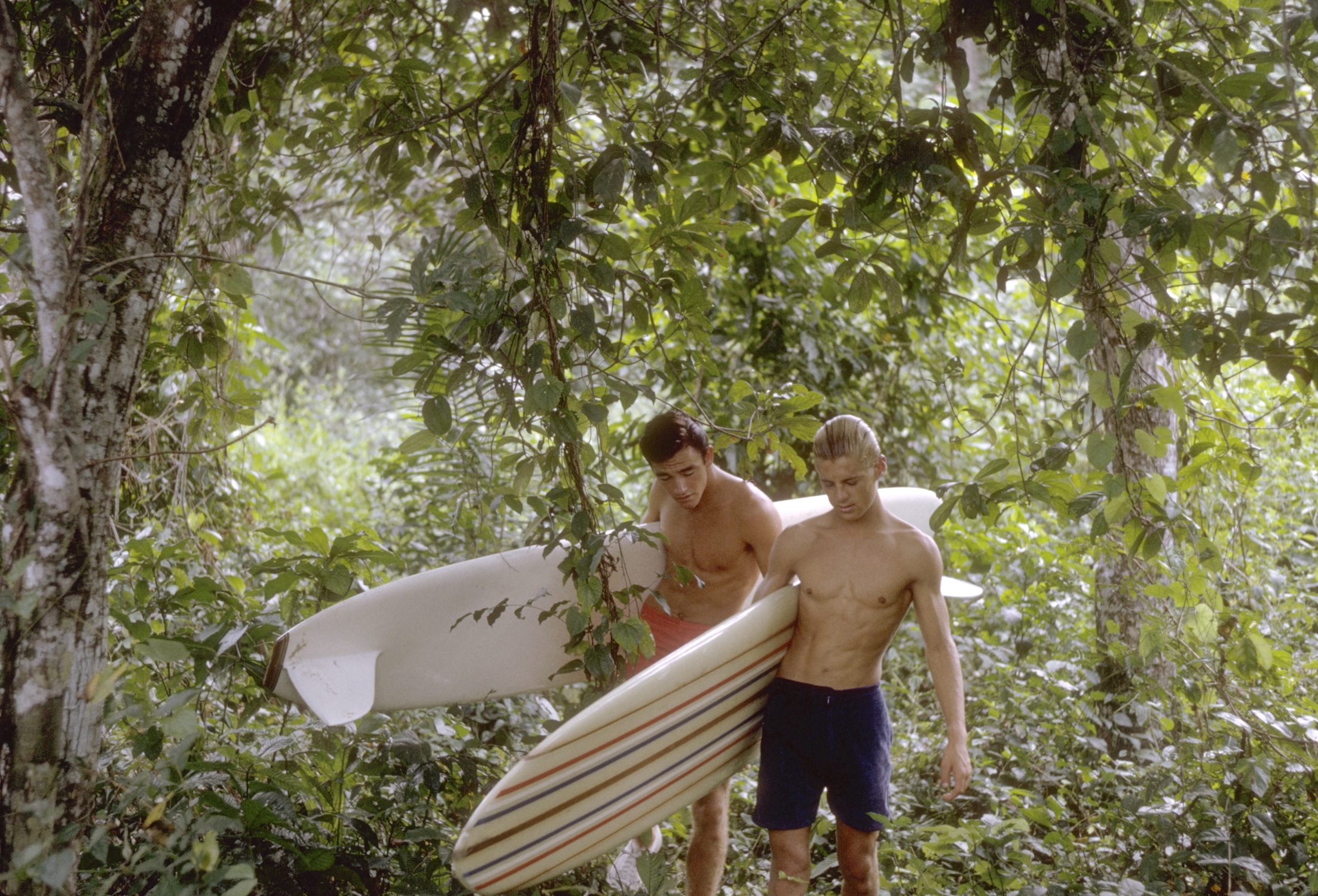 无尽之夏(1965)的剧照 无尽之夏(1965)的剧照