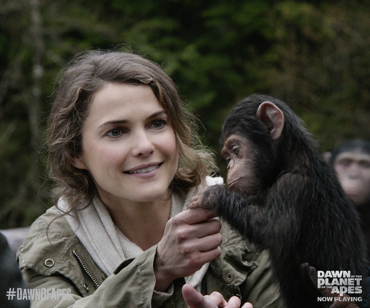 猩球崛起2:黎明之战(2014)的剧照 猩球崛起2:黎明之战(2014)的剧照