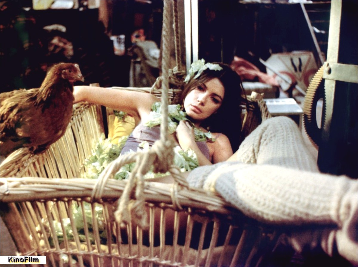 甜蜜电影(1974)的剧照 甜蜜电影(1974)的剧照