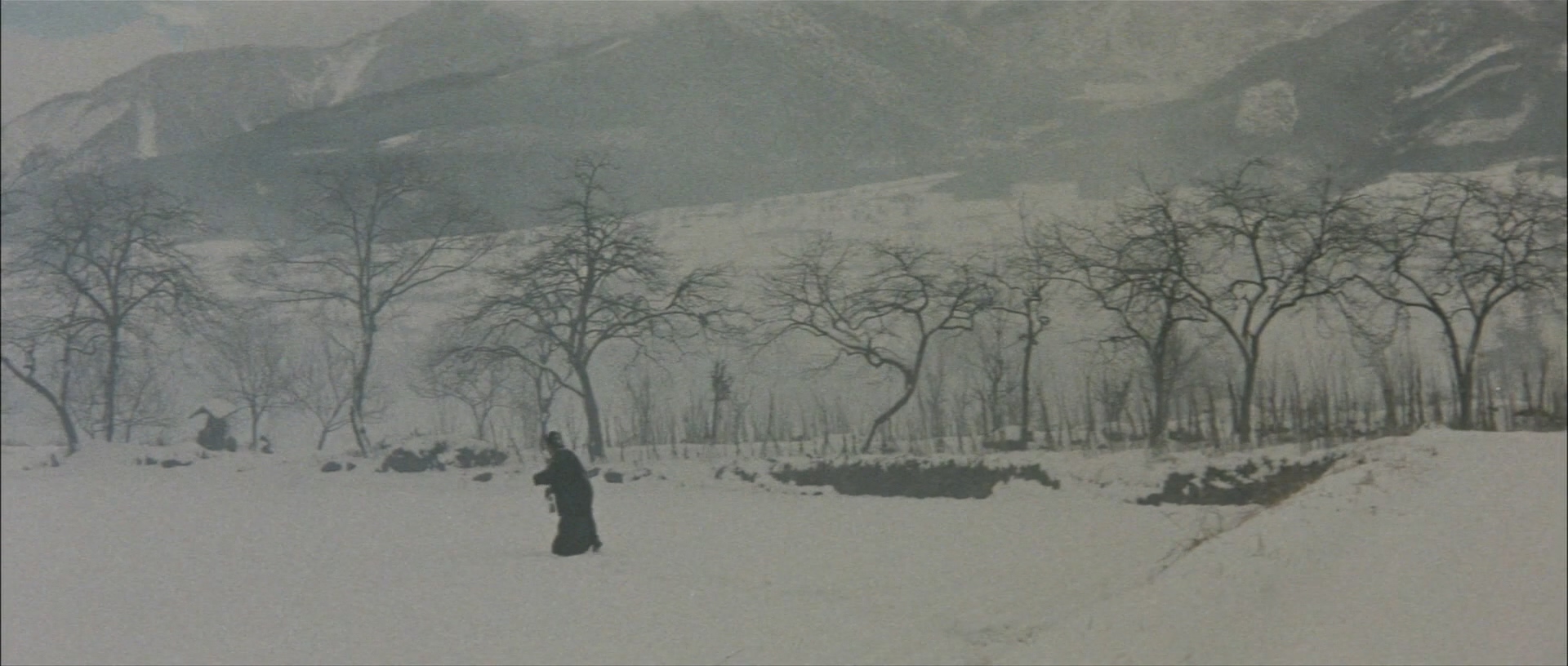 无法松的一生(1958)的剧照 无法松的一生(1958)的剧照