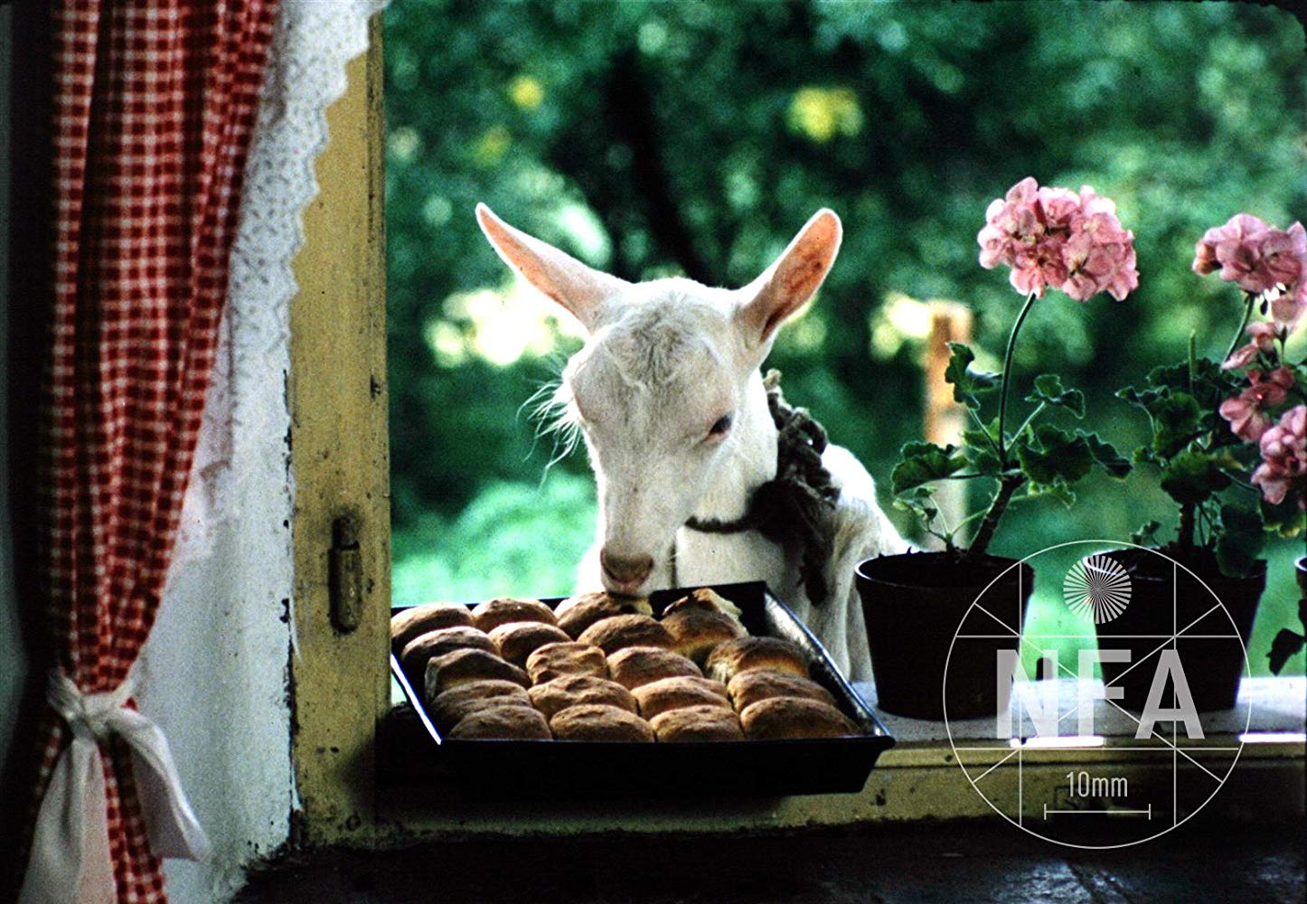 森林边缘的寂寞(1976)的剧照 森林边缘的寂寞(1976)的剧照