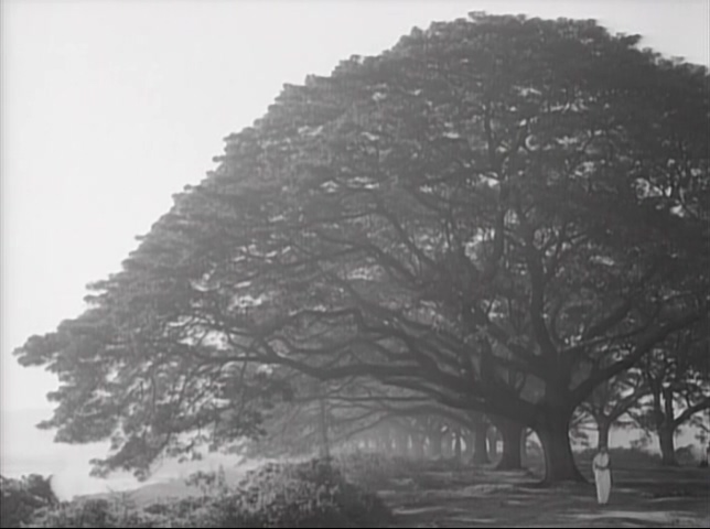 云遮星(1960)的剧照 云遮星(1960)的剧照