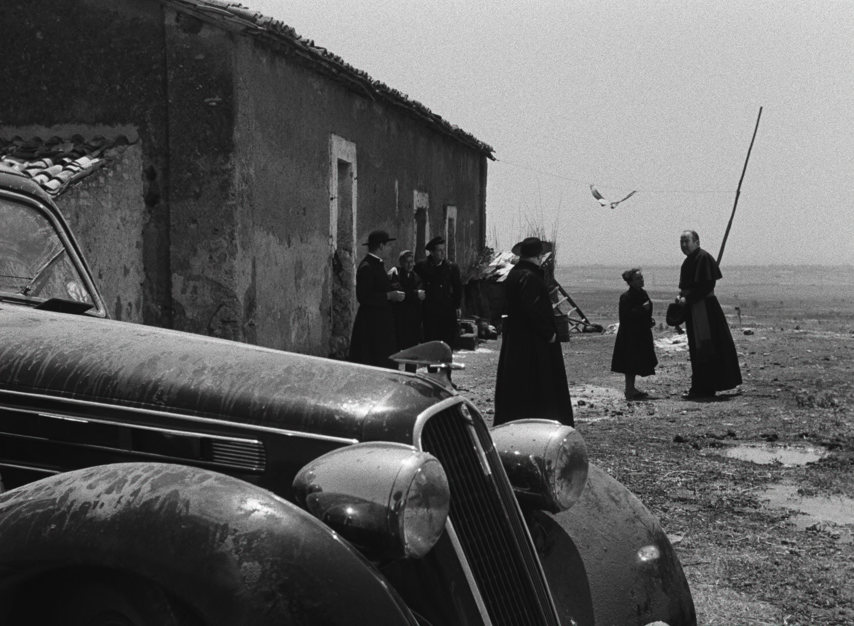 骗子(1955)的剧照 骗子(1955)的剧照