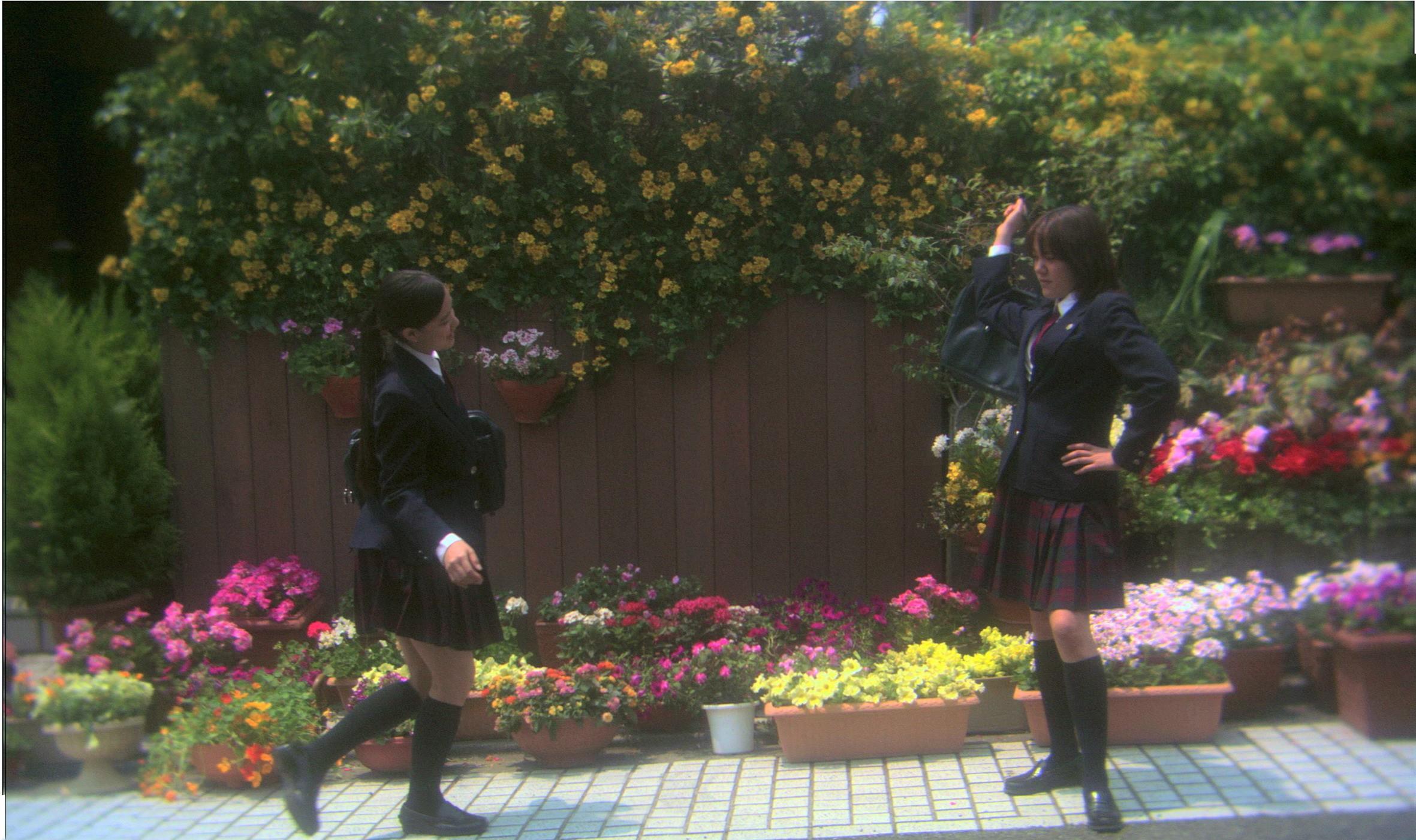 花与爱丽丝(2004)的剧照 花与爱丽丝(2004)的剧照