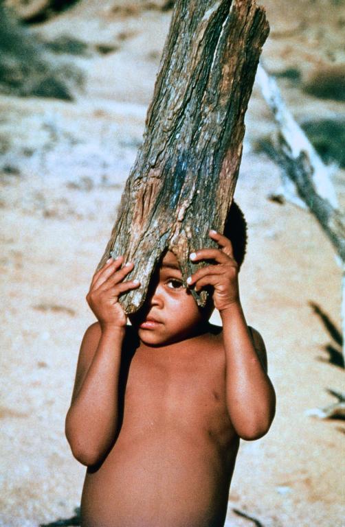 上帝也疯狂2(1989)的剧照 上帝也疯狂2(1989)的剧照