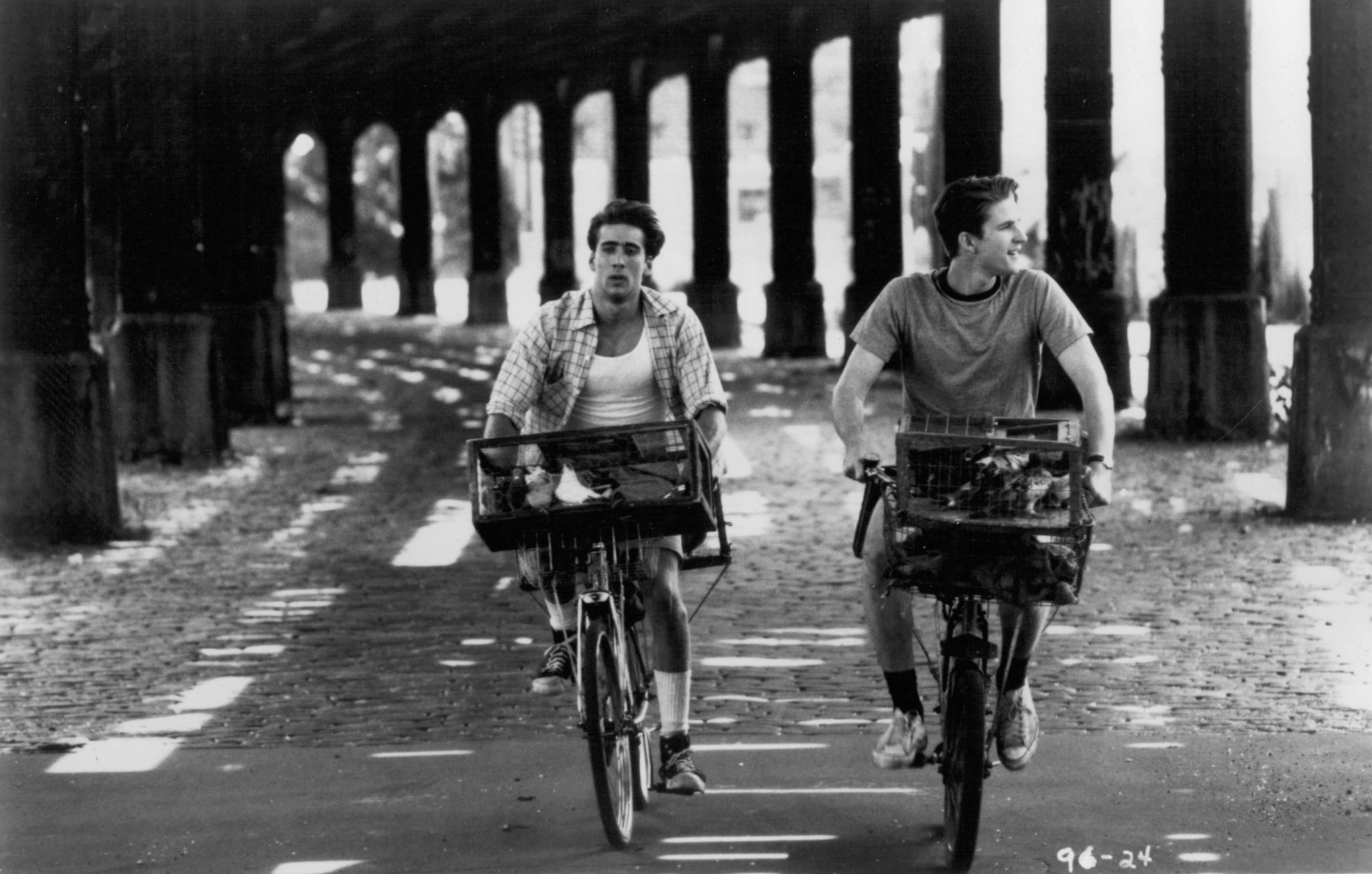 鸟人(1984)的剧照 鸟人(1984)的剧照