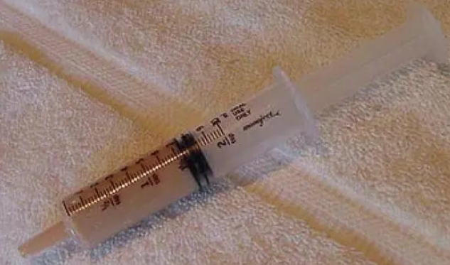 猫不吃东西怎么办？这样挑选猫粮很重要！