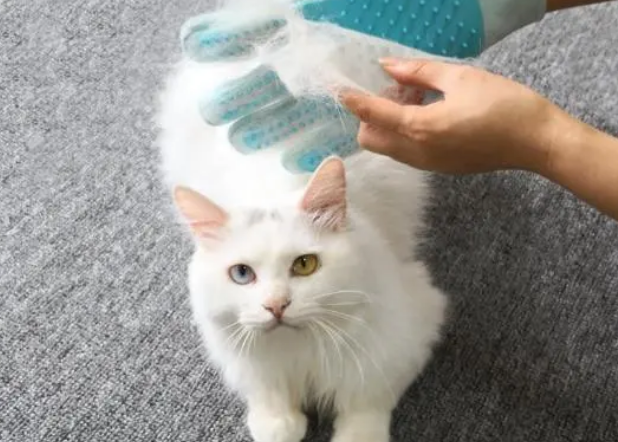 猫咪吐毛球怎么办：优质化毛膏品牌都在这儿了