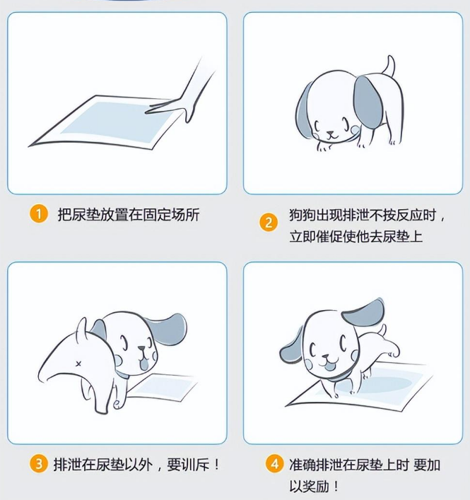 派克瑞为大家介绍宠物尿垫的特点及使用方法