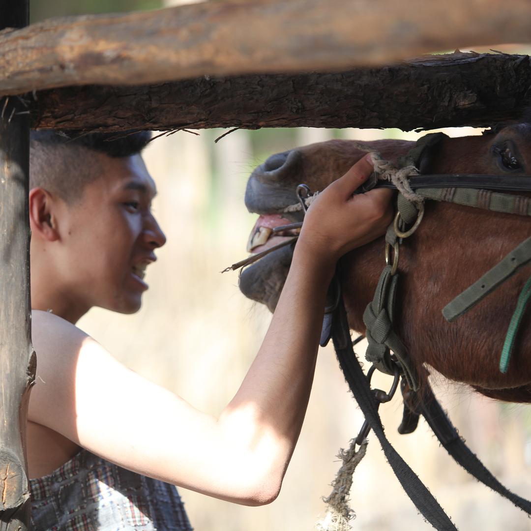 人间大炮
(2017)的剧照 人间大炮
(2017)的剧照