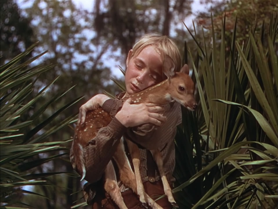 鹿苑长春(1946)的剧照 鹿苑长春(1946)的剧照