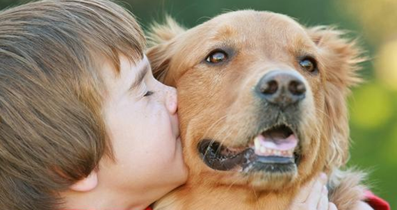 主人可以与狗狗亲嘴吗？铲屎官有必要知道！