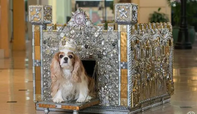 一起来看看，设计师设计的狗窝都好有设计感