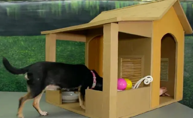 用纸板DIY制作一个精美的狗窝，非常实用！