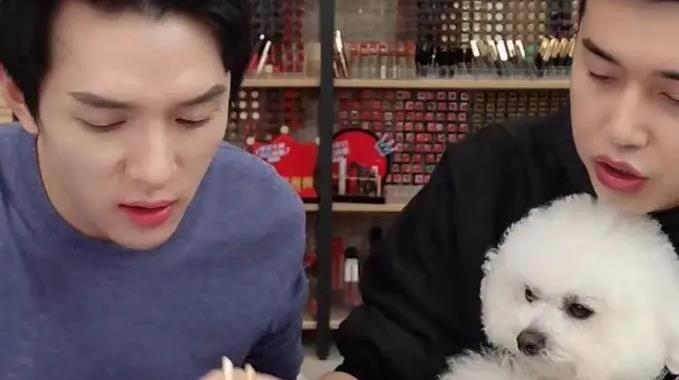 李佳琦的狗是什么品种狗，想知道就进来看看吧