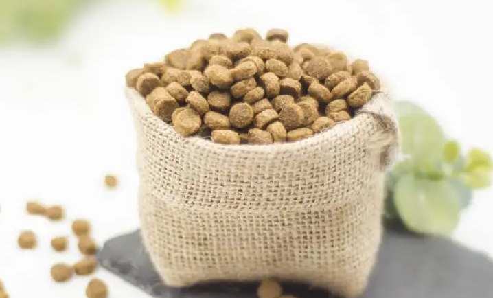 氪金式养宠之下，意牌狗粮获宠物青睐