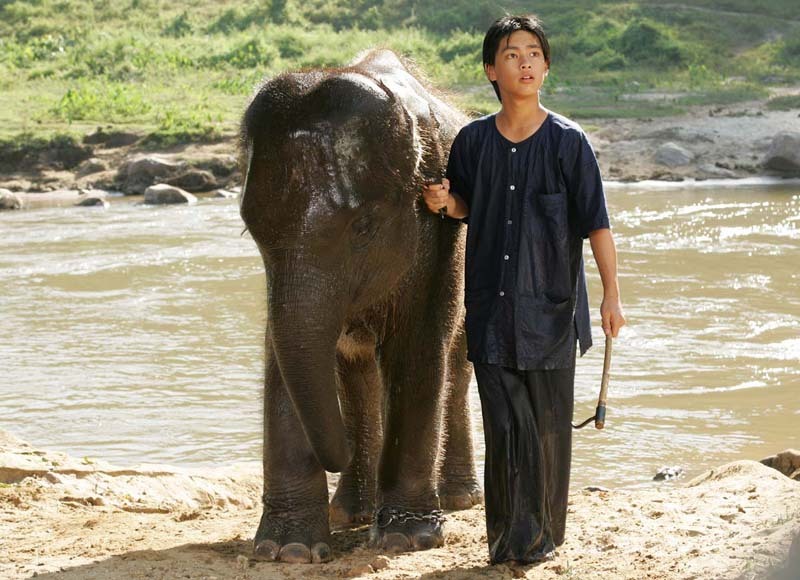 星星少年(2005)的剧照 星星少年(2005)的剧照