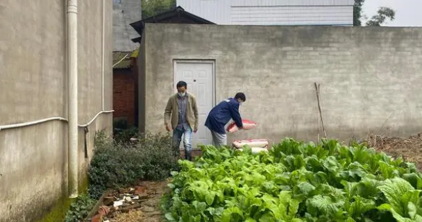 派摩公益丨愿每只无家可归的小动物，都能感受到世间温暖