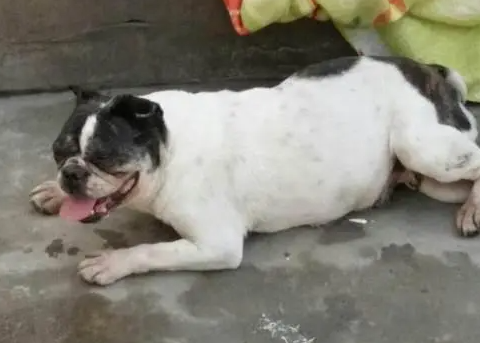 母法斗几个月来大姨妈？说了你别不信