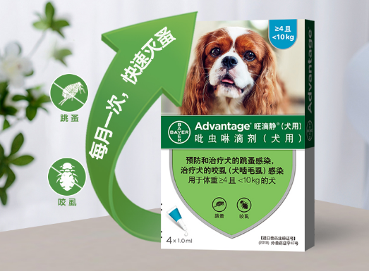旺滴静一招解决跳蚤问题，猫咪体外驱虫轻松搞定