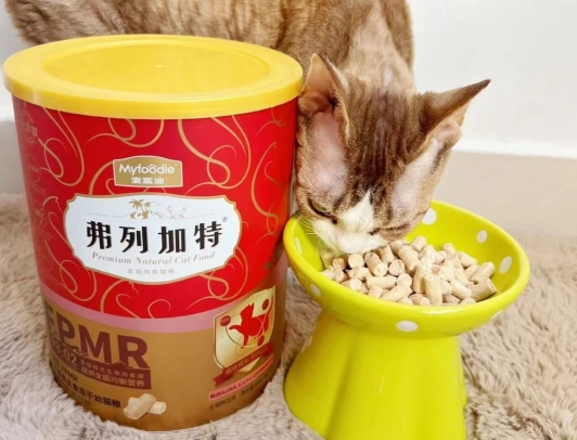 幼猫身体底子要打好,弗列加特大红桶少不了 幼猫身体底子要打好,弗列加特大红桶少不了