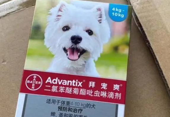 狗狗体外驱虫药这样选，拜宠爽专业防叮咬
