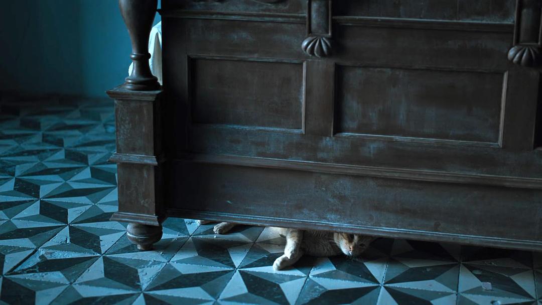 苦妓追忆录(2011)的剧照 苦妓追忆录(2011)的剧照