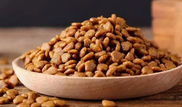 怎样挑选优质狗粮？看这八个方面就够了！