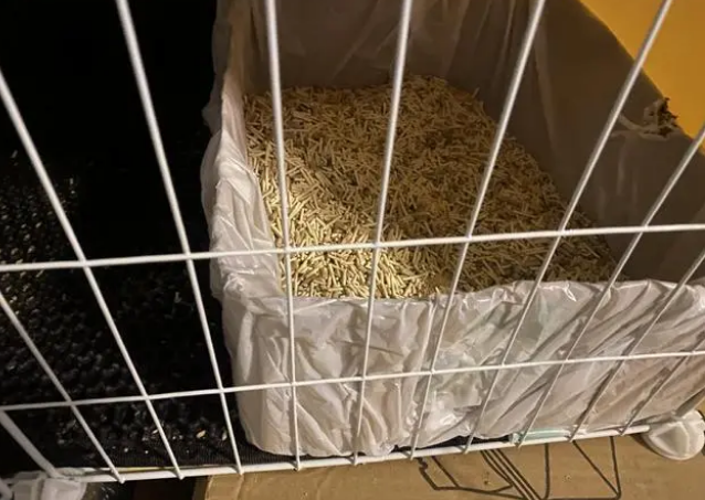 小壳Cature猫砂怎么样?新晋猫奴终于不用戴着口罩铲屎 小壳Cature猫砂怎么样?新晋猫奴终于不用戴着口罩铲屎