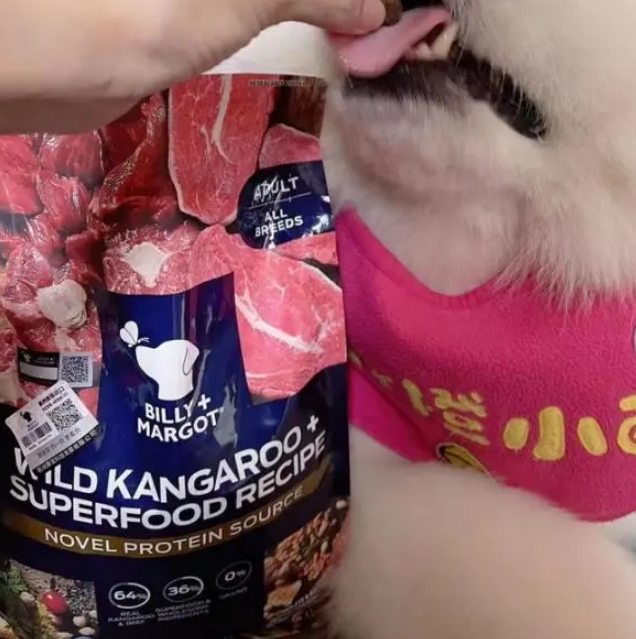 养狗还要学会选狗粮 比利玛格打造健康好营养