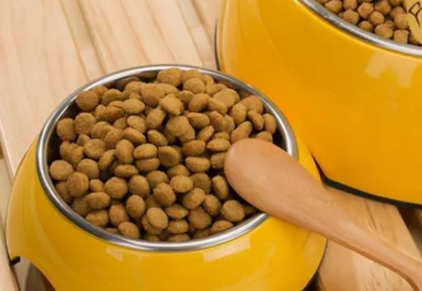 如何看狗粮成分表？来了解一下吧