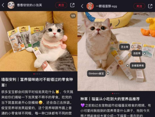 德国宠物品牌俊宝的中国本土化之路 德国宠物品牌俊宝的中国本土化之路