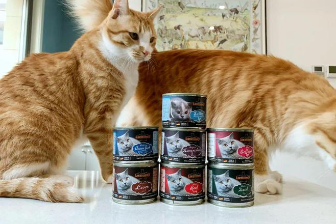 小李子猫罐测评 非常不错 小李子猫罐测评 非常不错