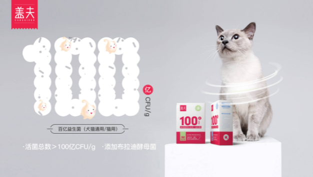 双品牌+投资2家工厂，盖夫内外贸布局全球