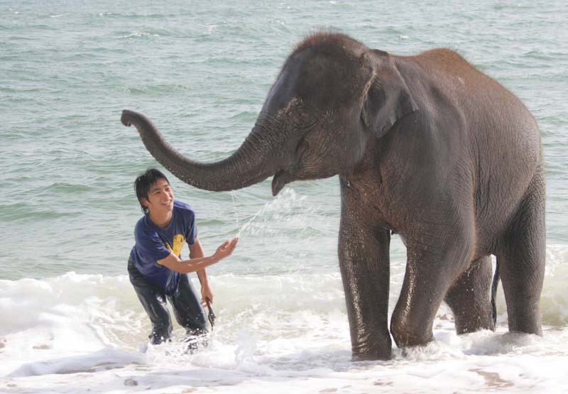 星星少年(2005)的剧照 星星少年(2005)的剧照