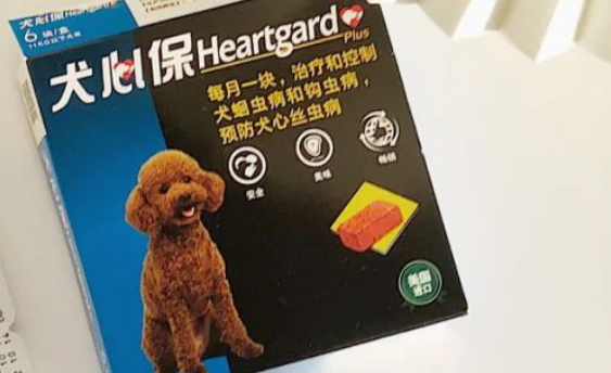 犬心保好不好，养狗党必须get的事